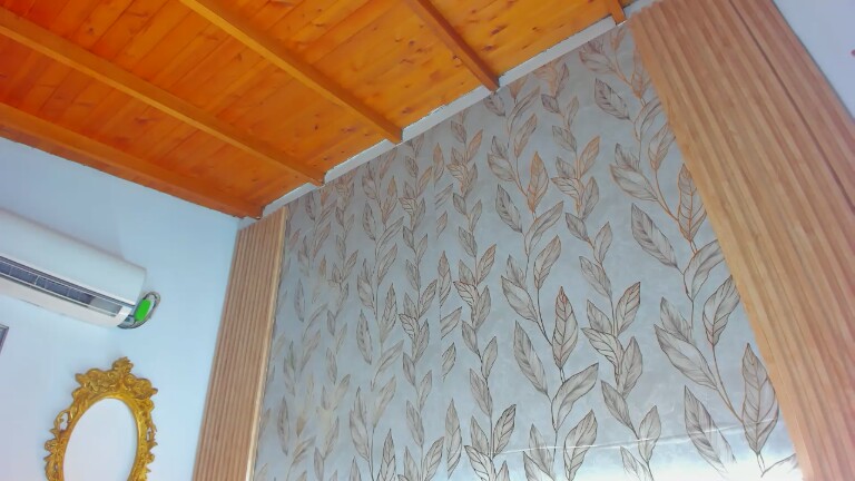 ZaraVega's Streamate show and profile